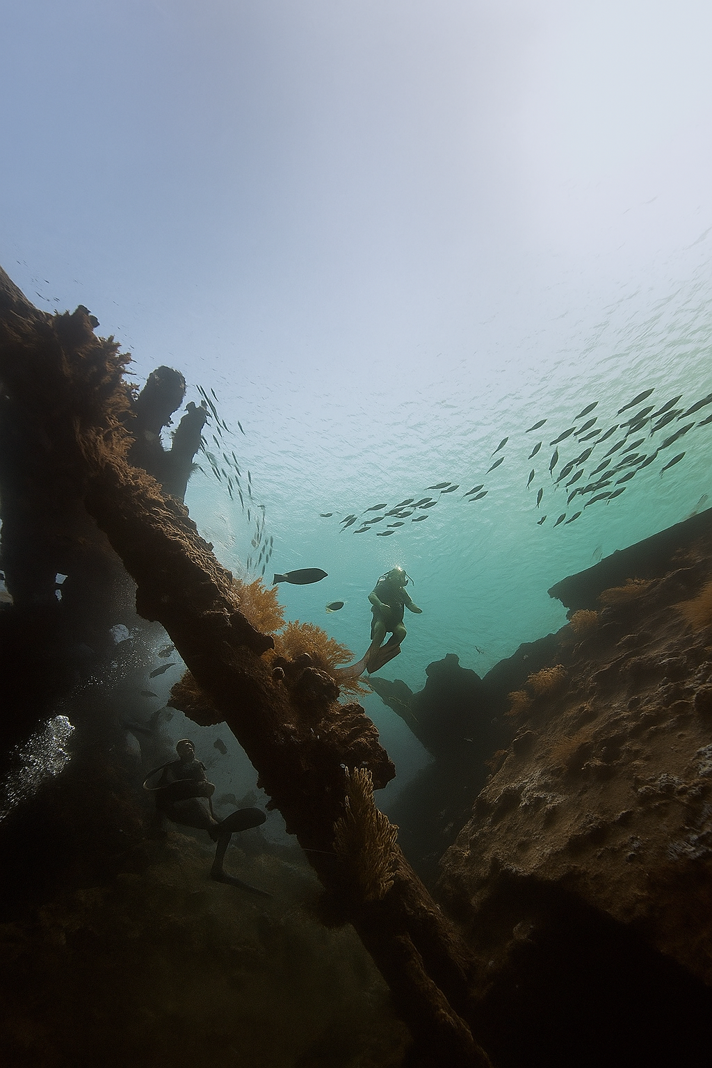 New Horizontal Items